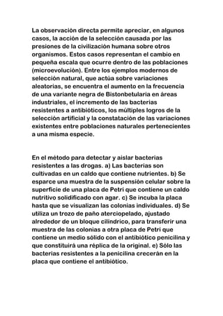 La observación directa permite apreciar, en algunos
casos, la acción de la selección causada por las
presiones de la civilización humana sobre otros
organismos. Estos casos representan el cambio en
pequeña escala que ocurre dentro de las poblaciones
(microevolución). Entre los ejemplos modernos de
selección natural, que actúa sobre variaciones
aleatorias, se encuentra el aumento en la frecuencia
de una variante negra de Bistonbetularia en áreas
industriales, el incremento de las bacterias
resistentes a antibióticos, los múltiples logros de la
selección artificial y la constatación de las variaciones
existentes entre poblaciones naturales pertenecientes
a una misma especie.

En el método para detectar y aislar bacterias
resistentes a las drogas. a) Las bacterias son
cultivadas en un caldo que contiene nutrientes. b) Se
esparce una muestra de la suspensión celular sobre la
superficie de una placa de Petri que contiene un caldo
nutritivo solidificado con agar. c) Se incuba la placa
hasta que se visualizan las colonias individuales. d) Se
utiliza un trozo de paño aterciopelado, ajustado
alrededor de un bloque cilíndrico, para transferir una
muestra de las colonias a otra placa de Petri que
contiene un medio sólido con el antibiótico penicilina y
que constituirá una réplica de la original. e) Sólo las
bacterias resistentes a la penicilina crecerán en la
placa que contiene el antibiótico.

 