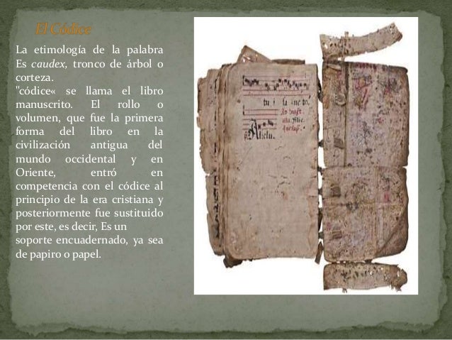 Origen y evolucion del libro 1
