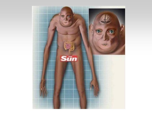 origen y evolución del ser humano