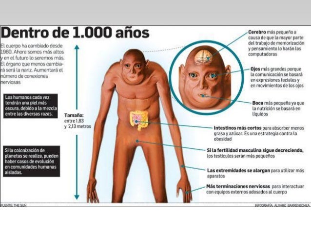 origen y evolución del ser humano