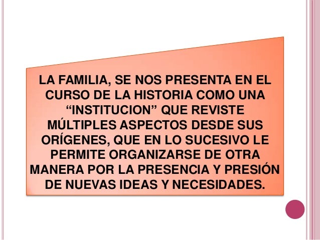 Origen y evolucion historica de la familia