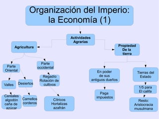 Organización del Imperio:
                     la Economía (1)
                                            Actividades
                                             Agrarias
         Agricultura                                                        Propiedad
                                                                              De la
                                                                              tierra

                         Parte
 Parte                 occidental
Oriental                                                      En poder                  Tierras del
                         Regadío                               de sus                     Estado
                        Rotación de                       antiguos dueños
Valles     Desiertos      cultivos
                                                                                         1/5 para
                                                                                         El califa
                                                              Paga
Cereales                                                    impuestos
algodón Camellos                Cítricos                                               Resto:
caña de corderos               Hortalizas                                           Aristocracia
 azúcar                         azafrán                                             musulmana
 