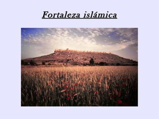Fortaleza islámica
 