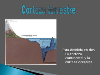 Corteza terrestreEsta dividida en dos La corteza continental y la corteza oceanica.