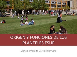 ORIGEN Y FUNCIONES DE LOS
PLANTELES ESUP
María Bernardita Garrido Barrueto
 