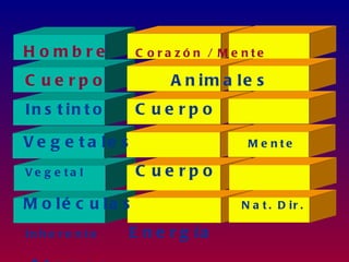H ombre            C o ra zó n / M e nte

C ue rpo                 A n im a le s
In s t in t o      C ue rpo

V e g e t a le s                     M e nte

Ve g e ta l        C ue rpo

M o lé c u la s                     N a t . D ir .

In h e r e n t e   E n e r g ía
 
