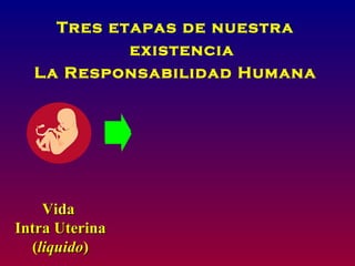Tres etapas de nuestra
           existencia
  La Responsabilidad Humana




    Vida
Intra Uterina
  (liquido)
 