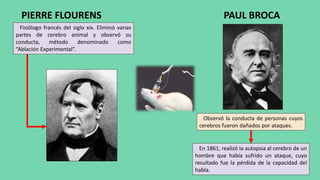 PIERRE FLOURENS
Fisiólogo francés del siglo xix. Eliminó varias
partes de cerebro animal y observó su
conducta, método denominado como
“Ablación Experimental”.
PAUL BROCA
Observó la conducta de personas cuyos
cerebros fueron dañados por ataques.
En 1861, realizó la autopsia al cerebro de un
hombre que había sufrido un ataque, cuyo
resultado fue la pérdida de la capacidad del
habla.
 