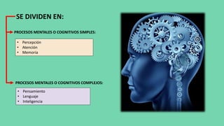 SE DIVIDEN EN:
PROCESOS MENTALES O COGNITIVOS SIMPLES:
PROCESOS MENTALES O COGNITIVOS COMPLEJOS:
• Percepción
• Atención
• Memoria
• Pensamiento
• Lenguaje
• Inteligencia
 