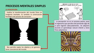 PROCESOS MENTALES SIMPLES
LA PERCEPCIÓN:
Implica la transformación del mundo físico en
imágenes mentales. Es también la continuación
fisiológica del proceso de sensación.
La percepción no es un proceso pasivo, pues
el organismo que percibe está poniendo algo de
sí para lograrlo adecuadamente.. Se adquiere
durante el aprendizaje natural infantil y tiene
fines adaptativos
Nos permite captar los objetos y en general,
tener consciencia del mundo.
 