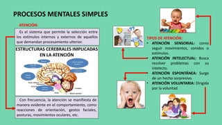 ATENCIÓN:
PROCESOS MENTALES SIMPLES
Es el sistema que permite la selección entre
los estímulos internos y externos de aquellos
que demandan procesamiento ulterior.
Con frecuencia, la atención se manifiesta de
manera evidente en el comportamiento, como
reacciones de orientación, gestos faciales,
posturas, movimientos oculares, etc.
TIPOS DE ATENCIÓN:
• ATENCIÓN SENSORIAL: como
seguir movimientos, sonidos o
estímulos.
• ATENCIÓN INTELECTUAL: Busca
resolver problemas con su
intelecto.
• ATENCIÓN ESPONTÁNEA: Surge
de un hecho sorpresivo.
• ATENCIÓN VOLUNTARIA: Dirigida
por la voluntad
 