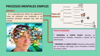 MEMORIA:
PROCESOS MENTALES SIMPLES
Es la capacidad que tienen los organismos
vivos de mantener una respuesta a un
estímulo sensorial, después que este ha
cesado
TIPOS DE MEMORIA
* MEMORIA A CORTO PLAZO: Permite un
mantenimiento limitado, temporal y pasivo de la
información.
* MEMORIA A LARGO PLAZO: Almacena información
por un tiempo más largo, como recuerdos o hechos
de meses o años.
 