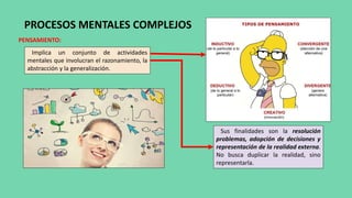 PROCESOS MENTALES COMPLEJOS
PENSAMIENTO:
Implica un conjunto de actividades
mentales que involucran el razonamiento, la
abstracción y la generalización.
Sus finalidades son la resolución
problemas, adopción de decisiones y
representación de la realidad externa.
No busca duplicar la realidad, sino
representarla.
 