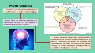 PSICOFISIOLOGÍA
La rama de la psicología relacionada con las
bases fisiológicas de los procesos psicológicos.
Se solía llamar psicofisiología cognitiva hasta
mediados de los años 1990 y actualmente se
le denomina neurociencia cognitiva.
Es una de las ramas más antiguas de la Psicología.
Estudia la relación entre los procesos biológicos y la
conducta, intentando establecer los patrones de
funcionamiento. Se centra en el estudio del sistema
nervioso, y el aparato circulatorio, principalmente por
su función de distribución hormonal.
 