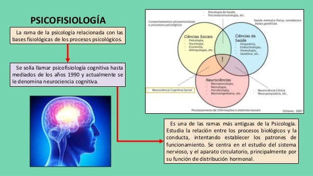 Origen y procesos de psicofisiología