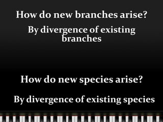 How do new branches arise?By divergence of existing branchesHow do new species arise?By divergence of existing species