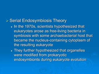  Serial Endosymbiosis Theory
 In the 1970s, scientists hypothesized that
eukaryotes arose as free-living bacteria in
symbiosis with some archaebacterial host that
became the nucleus-containing cytoplasm of
the resulting eukaryote
 They further hypothesized that organelles
were modified from prokaryotic
endosymbionts during eukaryote evolution
 