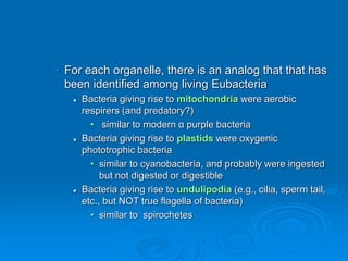 • For each organelle, there is an analog that that has
been identified among living Eubacteria
 Bacteria giving rise to mitochondria were aerobic
respirers (and predatory?)
• similar to modern α purple bacteria
 Bacteria giving rise to plastids were oxygenic
phototrophic bacteria
• similar to cyanobacteria, and probably were ingested
but not digested or digestible
 Bacteria giving rise to undulipodia (e.g., cilia, sperm tail,
etc., but NOT true flagella of bacteria)
• similar to spirochetes
 