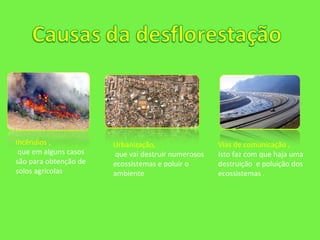 Urbanização,  que vai destruir numerosos ecossistemas e poluir o ambiente  Incêndios ,  que em alguns casos são para obtenção de solos agrícolas  Vias de comunicação ,  Isto faz com que haja uma destruição  e poluição dos ecossistemas . 
