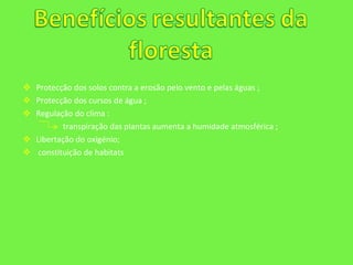 Protecção dos solos contra a erosão pelo vento e pelas águas ; Protecção dos cursos de água ; Regulação do clima : transpiração das plantas aumenta a humidade atmosférica ; Libertação do oxigénio; constituição de habitats  