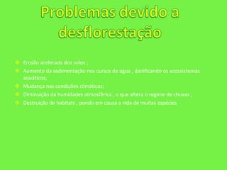 Erosão acelerada dos solos ; Aumento da sedimentação nos cursos de agua , danificando os ecossistemas aquáticos; Mudança nas condições climáticas;  Diminuição da humidades atmosférica , o que altera o regime de chuvas ; Destruição de habitats , pondo em causa a vida de muitas espécies  