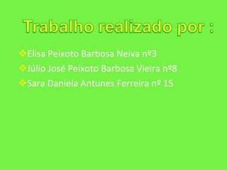 Elisa Peixoto Barbosa Neiva nº3 Júlio José Peixoto Barbosa Vieira nº8 Sara Daniela Antunes Ferreira nº 15 