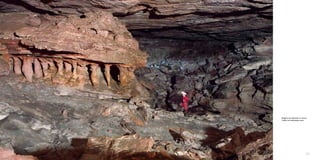 CAPITULO XI.                    Cueva Colibrí




               Galería de entrada en Cueva
               Colibrí es totalmente seca.




132                                     133
 