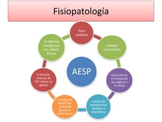 Fisiopatología
                                   Paro
                                 cardiaco
      se obtiene
      energía por                                     colapso
      vía adenil-                                   circulatorio
         kinasa




  5 minutos
 reservas de
                             AESP                         reducción en
                                                          el transporte
ATP celular se                                            de oxígeno a
    agotan                                                   la célula



                 2 moléculas
                                             cambio de
                  de ATP por
                                            metabolismo
                  unidad de
                                             aeróbico a
                   glucosa y
                                            anaeróbico
                 ácido láctico
 