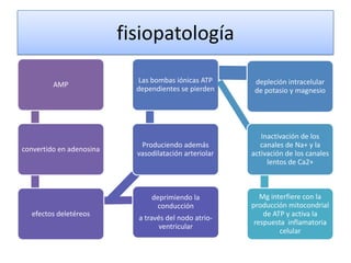 fisiopatología

                            Las bombas iónicas ATP       depleción intracelular
         AMP
                            dependientes se pierden      de potasio y magnesio




                                                           Inactivación de los
                             Produciendo además            canales de Na+ y la
convertido en adenosina
                            vasodilatación arteriolar   activación de los canales
                                                             lentos de Ca2+



                                deprimiendo la             Mg interfiere con la
                                 conducción             producción mitocondrial
  efectos deletéreos                                        de ATP y activa la
                            a través del nodo atrio-
                                                         respuesta inflamatoria
                                   ventricular
                                                                 celular
 