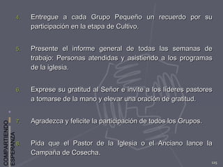 COMPARTIENDO
ESPERANZA
125
4.4. Entregue a cada Grupo Pequeño un recuerdo por suEntregue a cada Grupo Pequeño un recuerdo por su
participación en la etapa de Cultivo.participación en la etapa de Cultivo.
5.5. Presente el informe general de todas las semanas dePresente el informe general de todas las semanas de
trabajo: Personas atendidas y asistiendo a los programastrabajo: Personas atendidas y asistiendo a los programas
de la iglesia.de la iglesia.
6.6. Exprese su gratitud al Señor e invite a los líderes pastoresExprese su gratitud al Señor e invite a los líderes pastores
a tomarse de la mano y elevar una oración de gratitud.a tomarse de la mano y elevar una oración de gratitud.
7.7. Agradezca y felicite la participación de todos los Grupos.Agradezca y felicite la participación de todos los Grupos.
8.8. Pida que el Pastor de la Iglesia o el Anciano lance laPida que el Pastor de la Iglesia o el Anciano lance la
Campaña de Cosecha.Campaña de Cosecha.
 