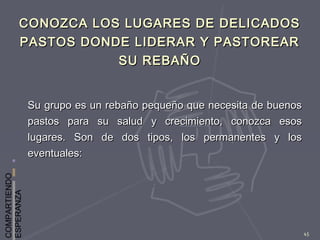 COMPARTIENDO
ESPERANZA
45
CONOZCA LOS LUGARES DE DELICADOSCONOZCA LOS LUGARES DE DELICADOS
PASTOS DONDE LIDERAR Y PASTOREARPASTOS DONDE LIDERAR Y PASTOREAR
SU REBAÑOSU REBAÑO
Su grupo es un rebaño pequeño que necesita de buenosSu grupo es un rebaño pequeño que necesita de buenos
pastos para su salud y crecimiento, conozca esospastos para su salud y crecimiento, conozca esos
lugares. Son de dos tipos, los permanentes y loslugares. Son de dos tipos, los permanentes y los
eventuales:eventuales:
 