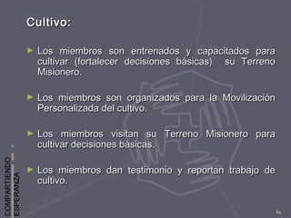 COMPARTIENDO
ESPERANZA
61
Cultivo:Cultivo:
► Los miembros son entrenados y capacitados paraLos miembros son entrenados y capacitados para
cultivar (fortalecer decisiones básicas) su Terrenocultivar (fortalecer decisiones básicas) su Terreno
Misionero.Misionero.
► Los miembros son organizados para la MovilizaciónLos miembros son organizados para la Movilización
Personalizada del cultivo.Personalizada del cultivo.
► Los miembros visitan su Terreno Misionero paraLos miembros visitan su Terreno Misionero para
cultivar decisiones básicas.cultivar decisiones básicas.
► Los miembros dan testimonio y reportan trabajo deLos miembros dan testimonio y reportan trabajo de
cultivo.cultivo.
 