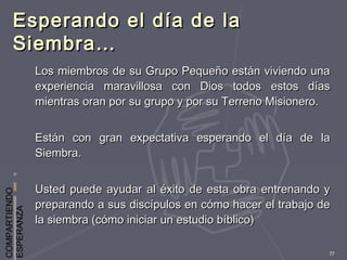 COMPARTIENDO
ESPERANZA
77
Esperando el día de laEsperando el día de la
Siembra…Siembra…
Los miembros de su Grupo Pequeño están viviendo unaLos miembros de su Grupo Pequeño están viviendo una
experiencia maravillosa con Dios todos estos díasexperiencia maravillosa con Dios todos estos días
mientras oran por su grupo y por su Terreno Misionero.mientras oran por su grupo y por su Terreno Misionero.
Están con gran expectativa esperando el día de laEstán con gran expectativa esperando el día de la
Siembra.Siembra.
Usted puede ayudar al éxito de esta obra entrenando yUsted puede ayudar al éxito de esta obra entrenando y
preparando a sus discípulos en cómo hacer el trabajo depreparando a sus discípulos en cómo hacer el trabajo de
la siembra (cómo iniciar un estudio bíblico)la siembra (cómo iniciar un estudio bíblico)
 