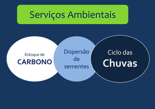 Estoque de
CARBONO
Serviços Ambientais
Dispersão
de
sementes
Ciclo das
Chuvas
 