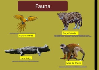 Onça Pintada
Arara-Canindé
Jacaré-Açu
Fauna
Mico de Cheiro
https://br.pinterest.com/pin/292100725814913872/?lp=true
http://www.aguaboanews.com.br/noticias/exibir.asp?id=10953&noticia=novo_mundo_-
_casal_registra_em_fotos_onca_pintada_a_menos_de_20m_de_distancia_em_novo_mundo
http://zoovirtualbr.blogspot.com.br/2010/10/arara-caninde.html
http://animais.culturamix.com/informacoes/repteis/jacare-acu
 