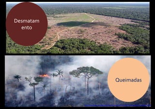 Desmatam
ento
http://www.fapeam.am.gov.br/recorde-de-queimadas-na-amazonia-causa-perda-de-biodiversidade/
Queimadas
 