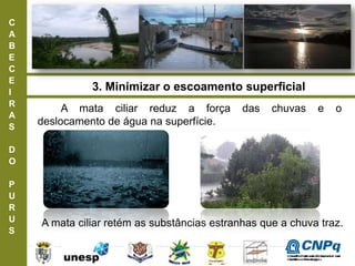 C
A
B
E
C
E
I
R
A
S
D
O
P
U
R
U
S
A mata ciliar reduz a força das chuvas e o
deslocamento de água na superfície.
A mata ciliar retém as substâncias estranhas que a chuva traz.
3. Minimizar o escoamento superficial
ConselhoNacionaldeDesenvolvimento
CientíficoeTecnológico
 