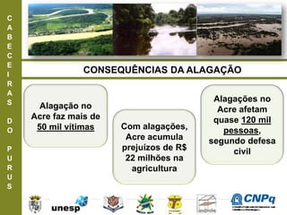 C
A
B
E
C
E
I
R
A
S
D
O
P
U
R
U
S
Alagação no
Acre faz mais de
50 mil vítimas Com alagações,
Acre acumula
prejuízos de R$
22 milhões na
agricultura
Alagações no
Acre afetam
quase 120 mil
pessoas,
segundo defesa
civil
CONSEQUÊNCIAS DA ALAGAÇÃO
ConselhoNacionaldeDesenvolvimento
CientíficoeTecnológico
 