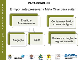 C
A
B
E
C
E
I
R
A
S
D
O
P
U
R
U
S
Erosão e
Assoreamento
Alagação
Contaminação dos
cursos de água
Seca
Mortes e extinção de
alguns animais
É importante preservar a Mata Ciliar para evitar:
PARA CONCLUIR
ConselhoNacionaldeDesenvolvimento
CientíficoeTecnológico
 