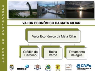 C
A
B
E
C
E
I
R
A
S
D
O
P
U
R
U
S
Valor Econômico da Mata Ciliar
Crédito de
Carbono
Bolsa
Verde
Tratamento
da água
ConselhoNacionaldeDesenvolvimento
CientíficoeTecnológico
 