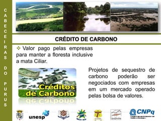 C
A
B
E
C
E
I
R
A
S
D
O
P
U
R
U
S
 Valor pago pelas empresas
para manter a floresta inclusive
a mata Ciliar.
Projetos de sequestro de
carbono poderão ser
negociados com empresas
em um mercado operado
pelas bolsa de valores.
ConselhoNacionaldeDesenvolvimento
CientíficoeTecnológico
 