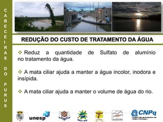 C
A
B
E
C
E
I
R
A
S
D
O
P
U
R
U
S
 Reduz a quantidade de Sulfato de alumínio
no tratamento da água.
 A mata ciliar ajuda a manter a água incolor, inodora e
insípida.
 A mata ciliar ajuda a manter o volume de água do rio.
ConselhoNacionaldeDesenvolvimento
CientíficoeTecnológico
 