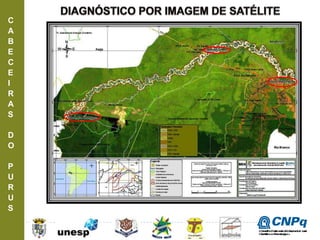 C
A
B
E
C
E
I
R
A
S
D
O
P
U
R
U
S
ConselhoNacionaldeDesenvolvimento
CientíficoeTecnológico
 