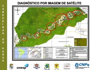 C
A
B
E
C
E
I
R
A
S
D
O
P
U
R
U
S
ConselhoNacionaldeDesenvolvimento
CientíficoeTecnológico
 