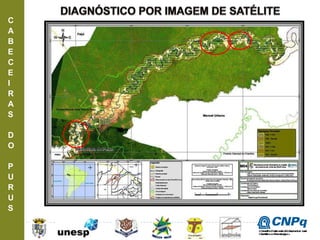 C
A
B
E
C
E
I
R
A
S
D
O
P
U
R
U
S
ConselhoNacionaldeDesenvolvimento
CientíficoeTecnológico
 
