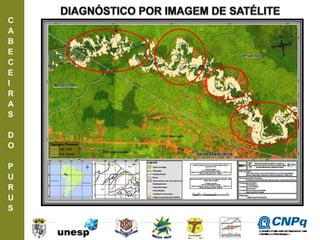 C
A
B
E
C
E
I
R
A
S
D
O
P
U
R
U
S
ConselhoNacionaldeDesenvolvimento
CientíficoeTecnológico
 