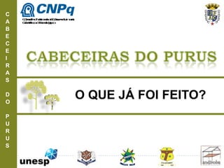 C
A
B
E
C
E
I
R
A
S
D
O
P
U
R
U
S
O QUE JÁ FOI FEITO?
ConselhoNacionaldeDesenvolvimento
CientíficoeTecnológico
 