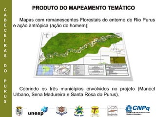 C
A
B
E
C
E
I
R
A
S
D
O
P
U
R
U
S
Mapas com remanescentes Florestais do entorno do Rio Purus
e ação antrópica (ação do homem);
Cobrindo os três municípios envolvidos no projeto (Manoel
Urbano, Sena Madureira e Santa Rosa do Purus).
ConselhoNacionaldeDesenvolvimento
CientíficoeTecnológico
 