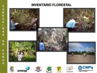 C
A
B
E
C
E
I
R
A
S
D
O
P
U
R
U
S
ConselhoNacionaldeDesenvolvimento
CientíficoeTecnológico
 