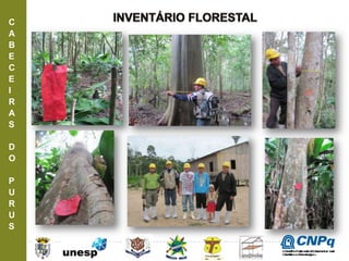 C
A
B
E
C
E
I
R
A
S
D
O
P
U
R
U
S
ConselhoNacionaldeDesenvolvimento
CientíficoeTecnológico
 